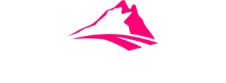 DigiSilta
