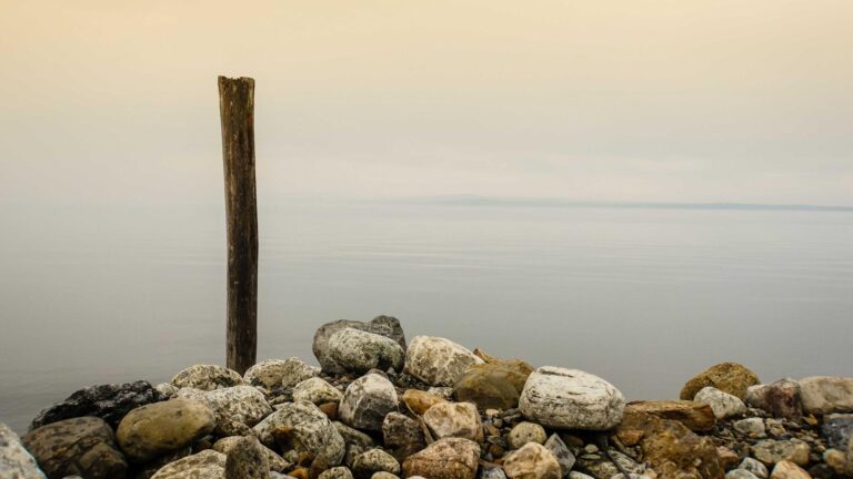 Miten tekoäly vaikuttaa verkkosivujen hakukonenäkyvyyteen?